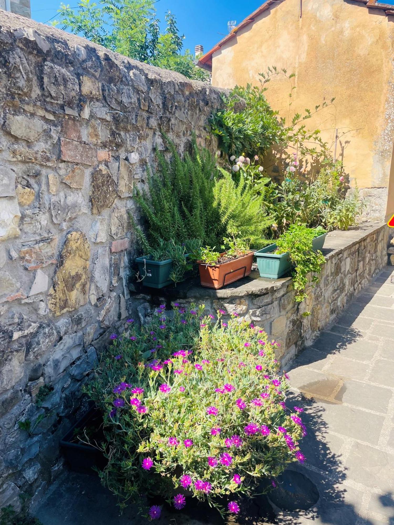 فيلا “Da Paolino” Borgo alla Collina المظهر الخارجي الصورة